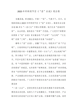 2023年终特别节目《“县”在说》观后感.docx