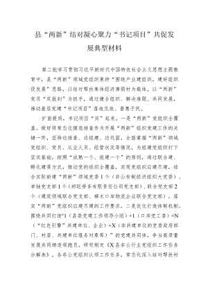 县“两新”结对凝心聚力“书记项目”共促发展典型材料.docx