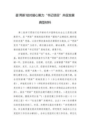 县“两新”结对凝心聚力 “书记项目”共促发展典型材料.docx