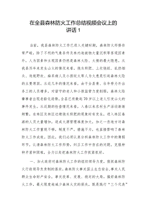 在全县森林防火工作总结视频会议上的讲话2篇.docx