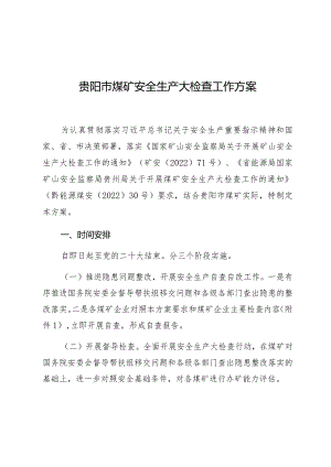 贵阳市煤矿安全生产大检查工作方案.docx