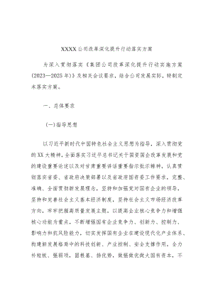 xxxx公司改革深化提升行动落实方案.docx