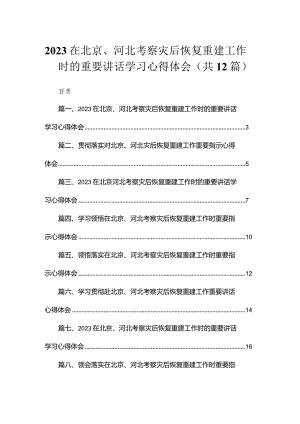 （12篇）在北京、河北考察灾后恢复重建工作时的重要讲话学习心得体会精选.docx