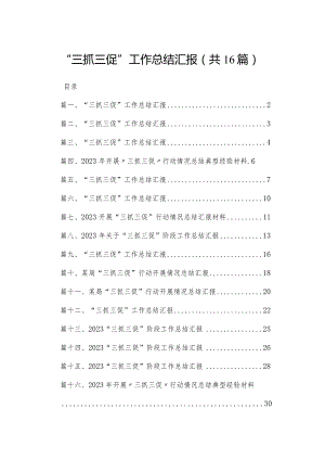 （16篇）“三抓三促”工作总结汇报.docx