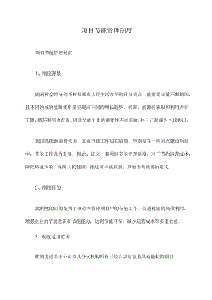 项目节能管理制度.docx