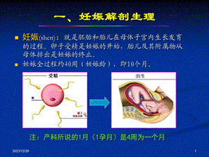 产科正常超声检查与诊断.ppt