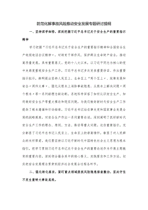 防范化解事故风险推动安全发展专题研讨提纲.docx