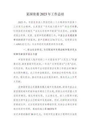 某国资委2023年工作总结.docx