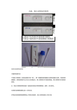犬瘟试纸、细小试纸如何使用.docx