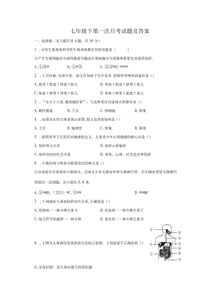 七年级下第一次月考试题及答案.docx