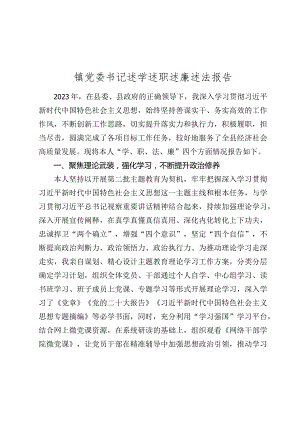 4篇2023-2024年度镇党委书记述学述职述廉述法报告.docx