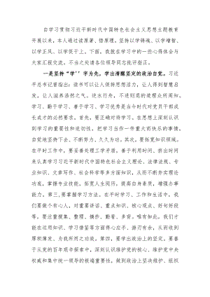 2023年学习题教育理论学习专题研讨会上的发言提纲范文.docx