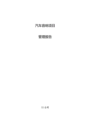 汽车音响项目管理报告.docx