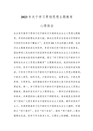 2023年关于学习贯彻思想主题教育心得体会.docx