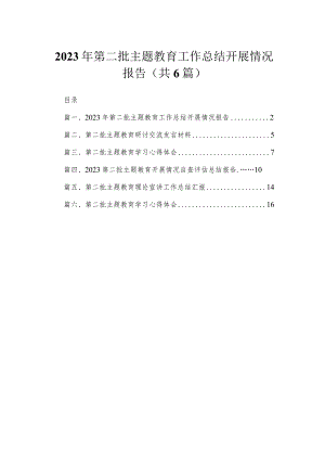 2023年第二批专题工作总结开展情况报告（共6篇）.docx