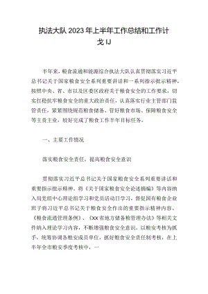 执法大队2023年上半年工作总结和工作计划.docx