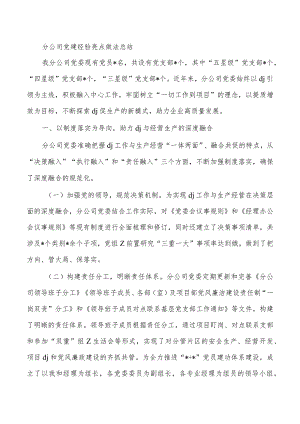 分公司党建经验亮点做法总结.docx