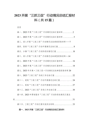 开展“三抓三促”行动情况总结汇报材料范文精选(15篇).docx