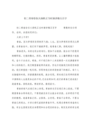 初二青春恰似火扬帆正当时演讲稿五百字.docx