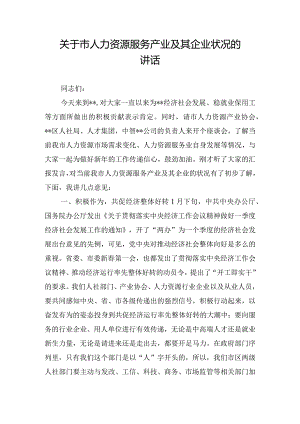 关于市人力资源服务产业及其企业状况的讲话.docx
