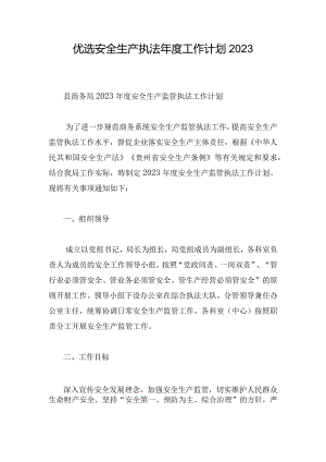 优选安全生产执法年度工作计划2023.docx