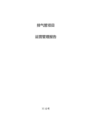 排气管项目运营管理报告.docx