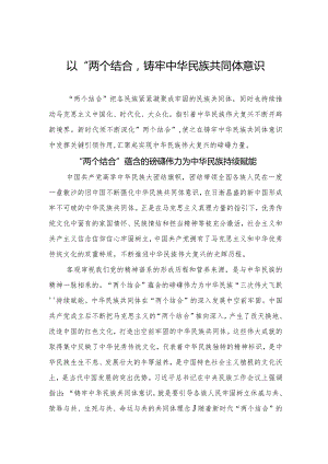 以“两个结合”铸牢中华民族共同体意识.docx