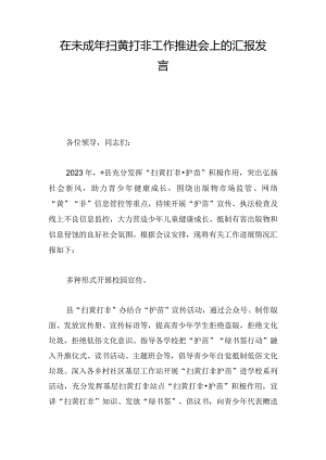 在未成年扫黄打非工作推进会上的汇报发言.docx