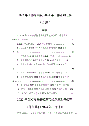 2023年工作总结及2024年工作计划汇编（11篇）.docx