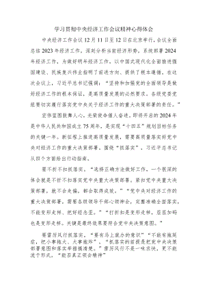 国企单位党员干部学习贯彻中央经济工作会议精神心得体会.docx