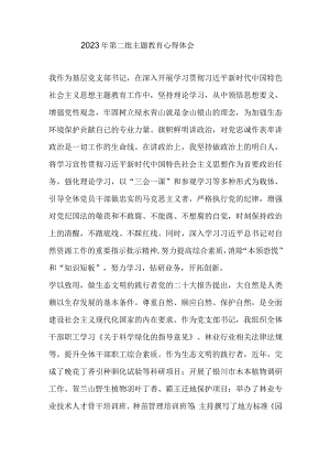 2023年第二批主题教育心得体会.docx