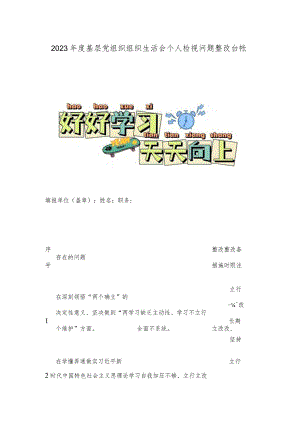 2023年度基层党组织组织生活会个人检视问题整改台帐.docx