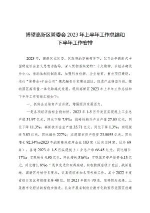 博望高新区管委会2023年上半年工作总结和下半年工作安排.docx