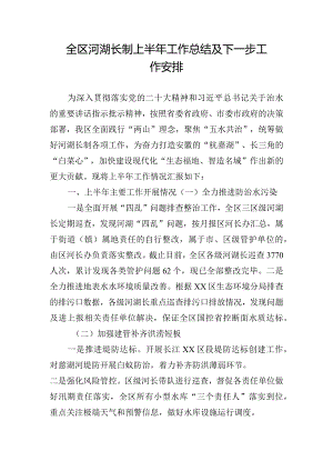 全区河湖长制上半年工作总结及下一步工作安排.docx