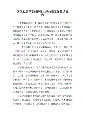 区民政局党支部开展主题教育工作总结报告.docx