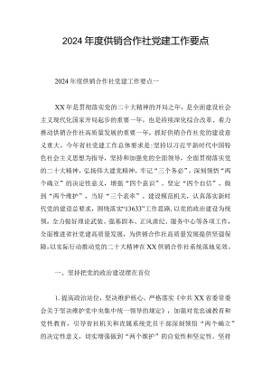 2024年度供销合作社党建工作要点.docx