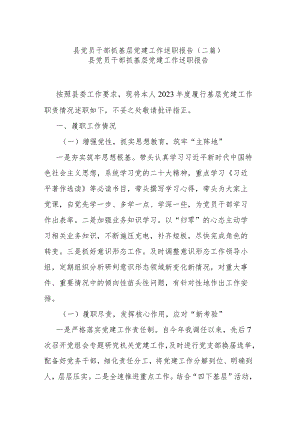 县党员干部抓基层党建工作述职报告(二篇).docx