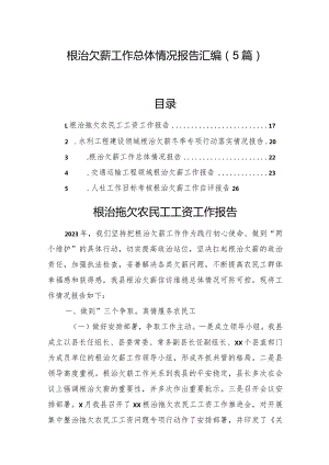 根治欠薪工作总体情况报告汇编（5篇）.docx