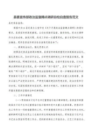 z监督蹲点调研自检自查报告工作汇报总结治.docx