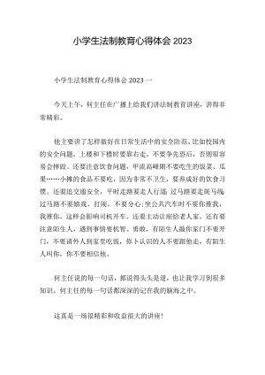 小学生法制教育心得体会2023.docx