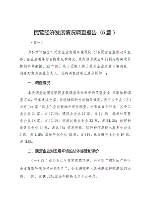 民营经济发展情况调查报告（5篇）.docx