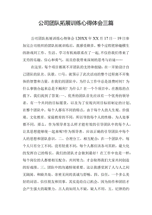 公司团队拓展训练心得体会三篇.docx