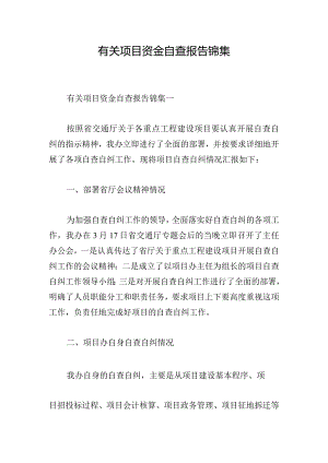有关项目资金自查报告锦集.docx
