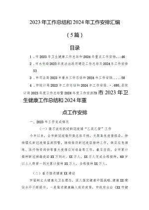 2023年工作总结和2024年工作安排汇编（5篇）.docx