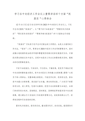 学习在中央经济工作会议上重要讲话四个方面“抓落实”心得体会.docx