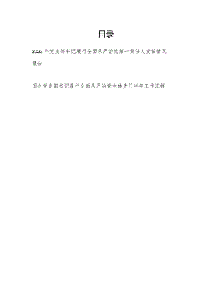 党支部书记2023年度履行全面从严治党第一责任人责任情况报告.docx