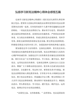 弘扬学习新宪法精神心得体会感悟五篇.docx