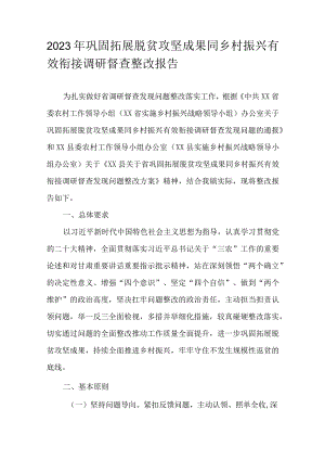 2023年巩固拓展脱贫攻坚成果同乡村振兴有效衔接调研督查整改报告.docx