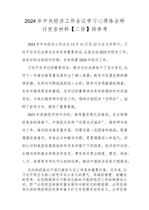 2024年中央经济工作会议学习心得体会研讨发言材料【二份】供参考.docx