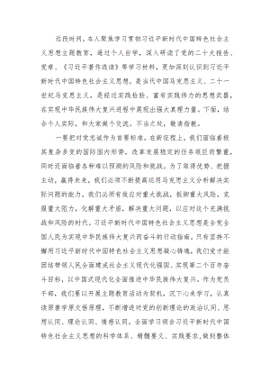 2023年度第二批主题教育研讨交流发言提纲心得体会范文两篇.docx